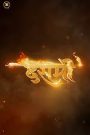 Dashmi